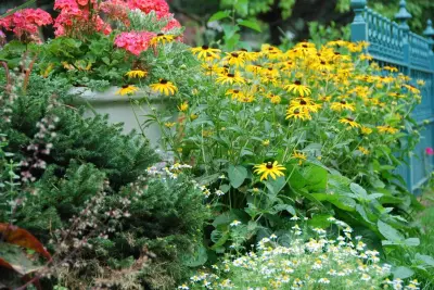 Sun Valley Landscaping - Tree & Shrub Care in Omaha, NE