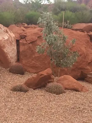 Cedar Hollow Landscaping - Custom Home Builders in St George, UT