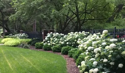 Elegant Entrance — Landscape Design project by Three Dogs & A Girl Garden Design
