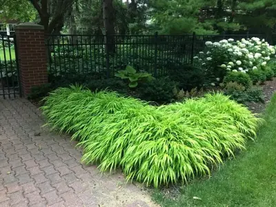 Three Dogs & A Girl Garden Design - Patio Design & Installation in Lincoln, NE