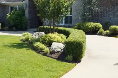 Pinnacle Turf LLC - Tree & Shrub Care in Fort Smith, AR