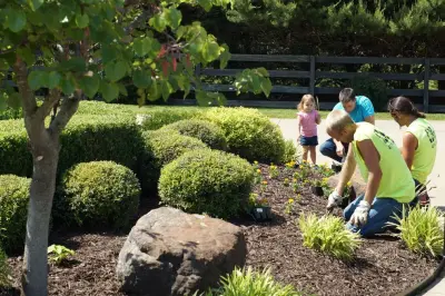 Pinnacle Turf LLC - Tree & Shrub Care in Fort Smith, AR