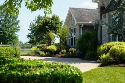 Valuable Clients — Landscape Design project by Pinnacle Turf LLC