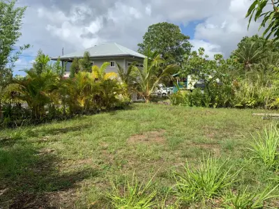 Plant Misbehavin - Tree & Shrub Care in Pahoa, HI