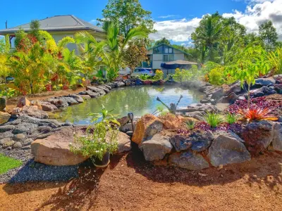 Plant Misbehavin - Tree & Shrub Care in Pahoa, HI