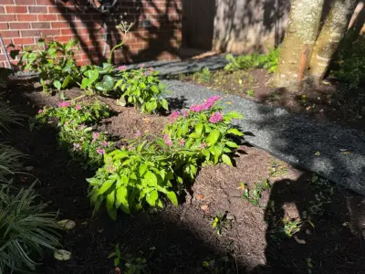 Holmes Landscape Company - Landscape Design in Houston, TX