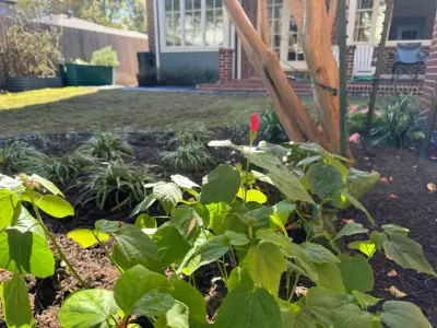 Holmes Landscape Company - Landscape Design in Houston, TX