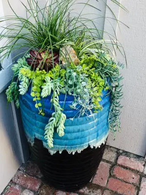 Ornamental Planters and Landscapes — Landscape Design project by Taormino Gardening