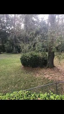 Dauphin irrigation & landscaping llc - Landscape Construction in Tallahassee, FL