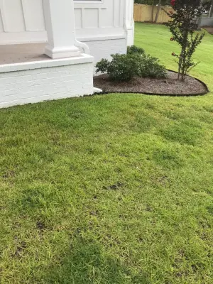 Metal Border — Landscape Design project by Dauphin Irrigation & Landscaping Llc