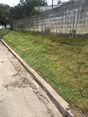 Lawn Installation and Landscaping Project — Landscape Design project by Dauphin Irrigation & Landscaping Llc