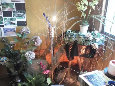 indoor greenery, design, illumination, water feature — Landscape Design project by Soergel Landscapes, Aquascapes, Florascapes