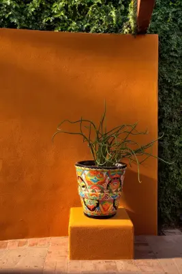 Earth Art Landscape - Landscape Design in Phoenix, AZ