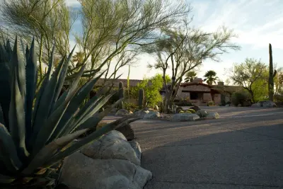 Josias Joesler Gem of Catalina Foothills — Landscape Design project by Landscape Design West, LLC