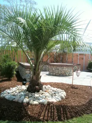 Sandscapes, Inc. - Deck Building & Repair in Kitty Hawk, NC