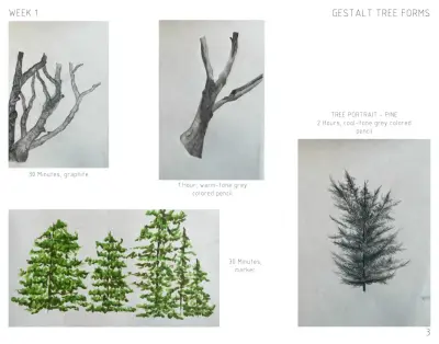 Student Portfolio - Landscape Construction in Bridgeport, WV