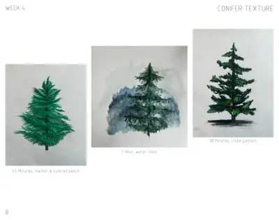 Student Portfolio - Landscape Construction in Bridgeport, WV