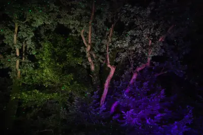 outdoor lighting for gardens, pond illumination, garden event lighting — Landscape Design project by Soergel Landscapes, Aquascapes, Florascapes