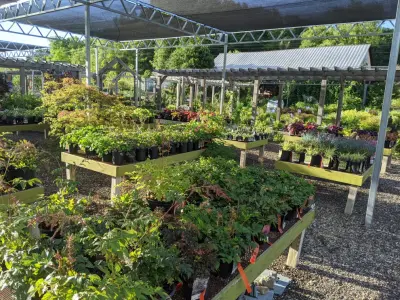 Build Your Sanctuary This Year — Landscape Design project by Second Nature At Reads Creek