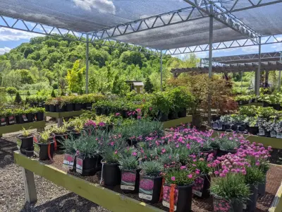 Second Nature at Reads Creek - Deck Building & Repair in Readstown, WI