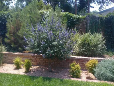 Austex Landscape - Landscape Construction in Lubbock, TX