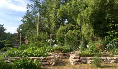 MESA Landscape Architects, Inc - Landscape Design in Little Rock, AR
