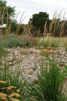 Tom's Tree Place - Design-Build Services in Lubbock, TX