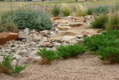 Tom's Tree Place - Design-Build Services in Lubbock, TX