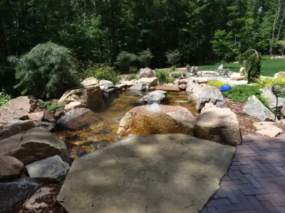 Landscape Solutions by Susan Murphy, LLC - Patio Design & Installation in Weston, CO