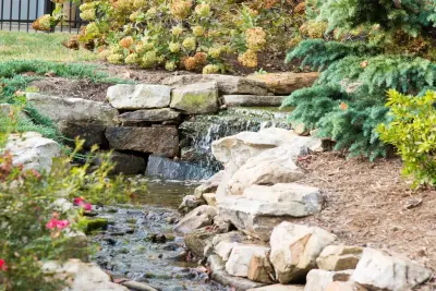 Natural Stream Transformation by The Lawn Butler
