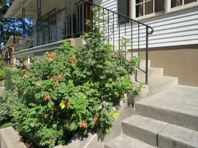 Nesbet Residence - Entrance — Landscape Design project by Schlesinger + Associates LLC