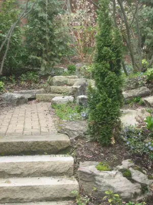 Mark McKenzie - Landscape Design in Pittsburgh, PA