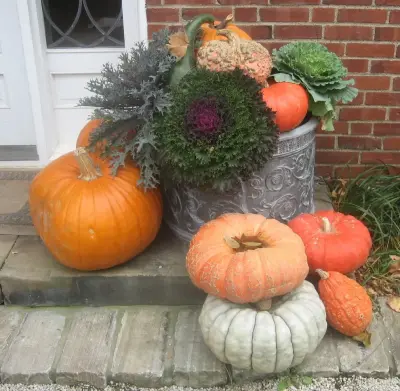 Mark McKenzie - Landscape Design in Pittsburgh, PA