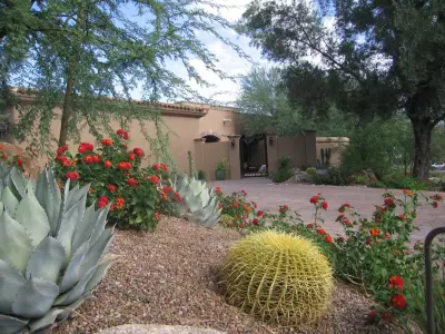 Valley of Paradise Home — Landscape Design project by Living Rooms Landscape Design