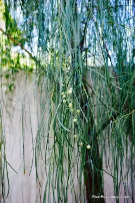 River Road Designs - Patio Design & Installation in Tucson, AZ
