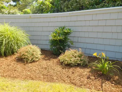 Caribbean Botanical Designs - Landscape Design in Kill Devil Hills, NC