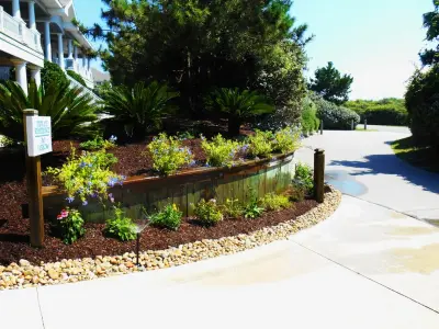 Caribbean Botanical Designs - Landscape Design in Kill Devil Hills, NC