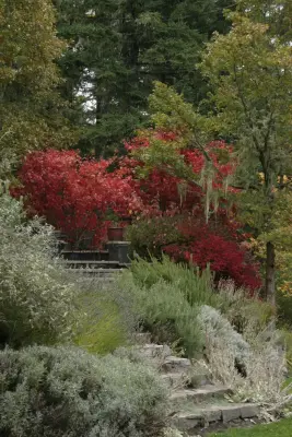 Lovinger Robertson Landscape Architects - Landscape Construction in Eugene, OR