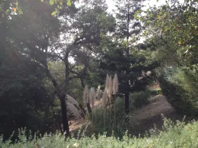 Ross Elevated Vegetable Garden — Landscape Design project by Gardens & Gables