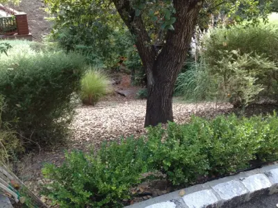 Gardens & Gables - Patio Design & Installation in San Rafael, CA