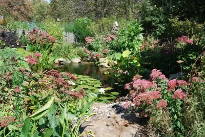 Soergel Landscapes, Aquascapes, Florascapes - Landscape Design in Gibsonia, PA