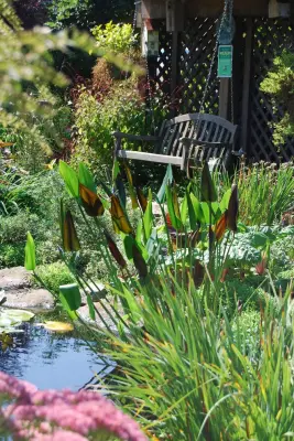 Soergel Gardens — Landscape Design project by Soergel Landscapes, Aquascapes, Florascapes