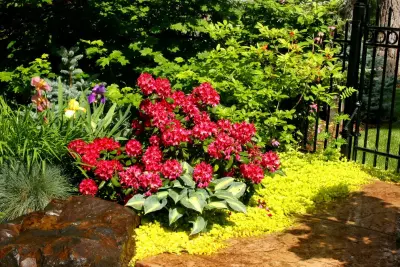 South Hill Aquatic Retreat — Landscape Design project by Land Expressions LLC