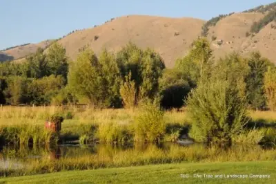 The Tree and Landscape Company - Tree & Shrub Care in Jackson, WY