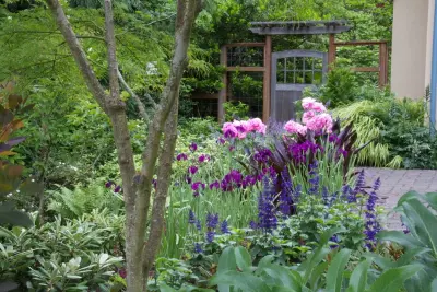 Sunseeker — Landscape Design project by Mosaic Gardens