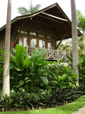Caribbean Botanical Designs - Landscape Design in Kill Devil Hills, NC