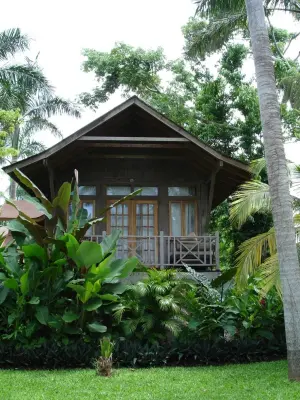 Twilight at the Palms Resort, Negril — Landscape Design project by Caribbean Botanical Designs