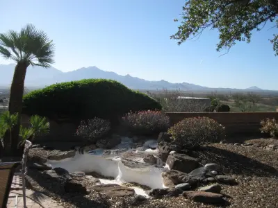 Desert Landscape Design P.L.L.C. - Landscape Design in Green Valley, AZ