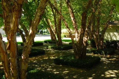 European-Inspired Traditional Home — Landscape Design project by Westfall Design Studio