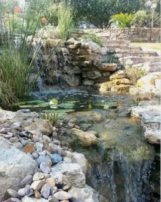 aquatic elements — Landscape Design project by Green Republic Design Group